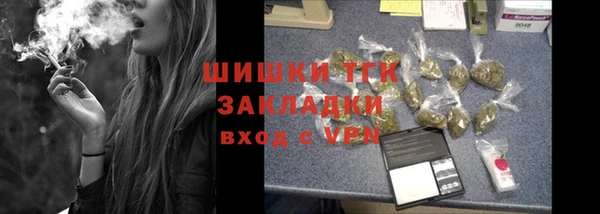 ПСИЛОЦИБИНОВЫЕ ГРИБЫ Верея