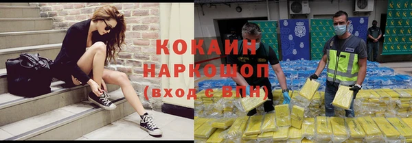 ПСИЛОЦИБИНОВЫЕ ГРИБЫ Верея