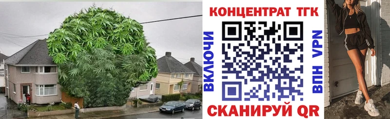 Дистиллят ТГК THC oil  Далматово 